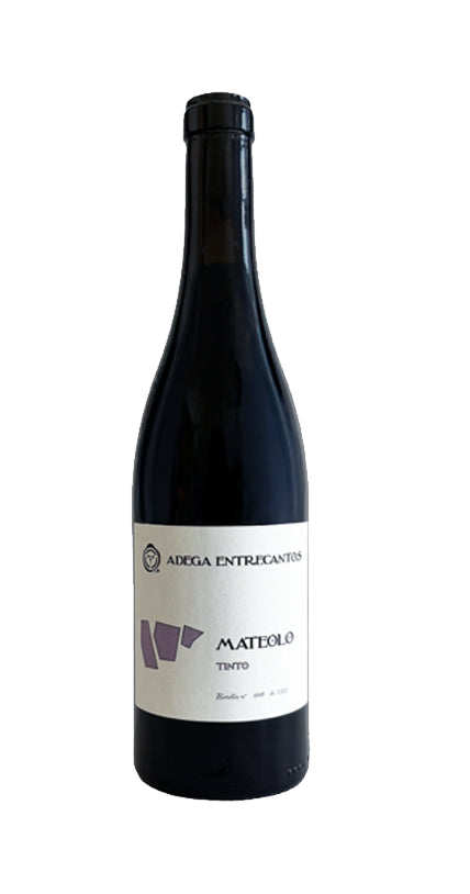 Mateolo Tinto