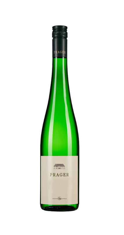Grüner Veltliner Stockkultur